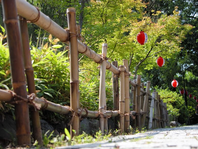Bamboo Fences
