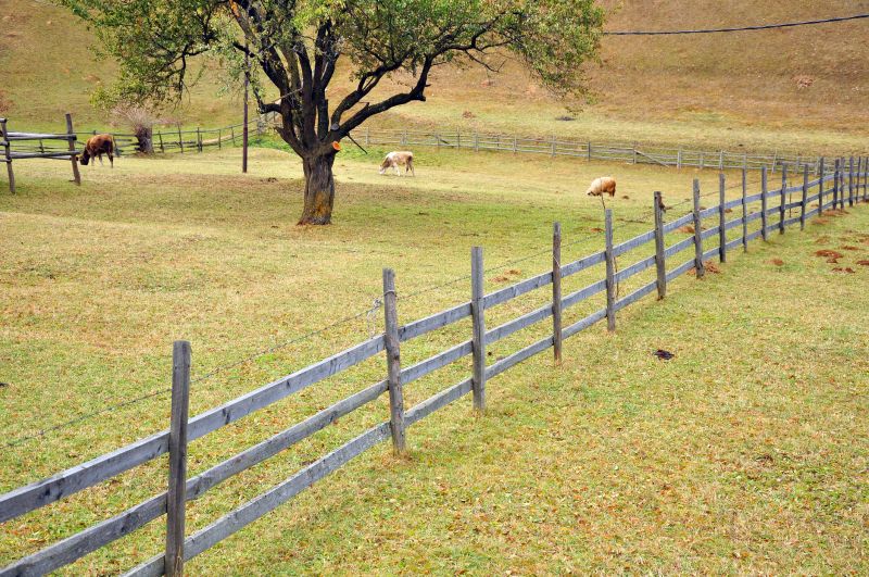 Farm Fencing